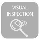 visual inspection in modigliani
